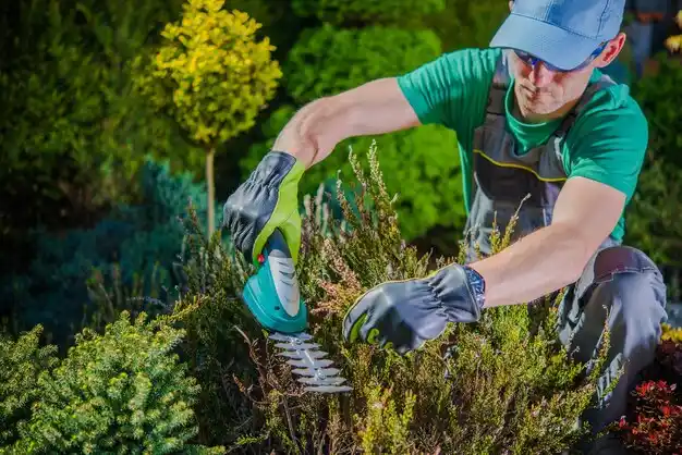 landscaping services Holdrege